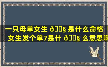 一只母单女生 🐧 是什么命格「女生发个单7是什 🐧 么意思啊」